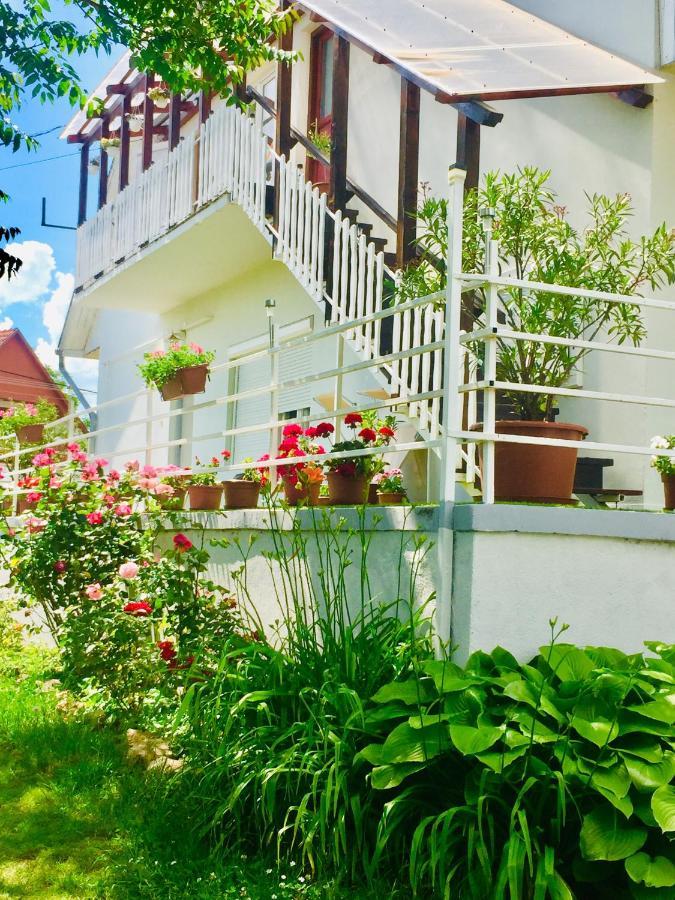 Lelle-Kert Apartman 01 巴拉通雷勒 外观 照片